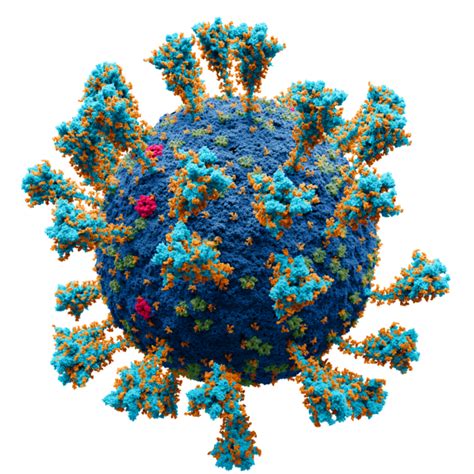 The <b>COVID-19 pandemic in Australia</b> was a part of the worldwide <b>pandemic</b> of the <b>coronavirus</b> disease 2019 caused by severe acute respiratory syndrome <b>coronavirus</b> 2 (SARS-CoV-2). . Covid pandemic wiki